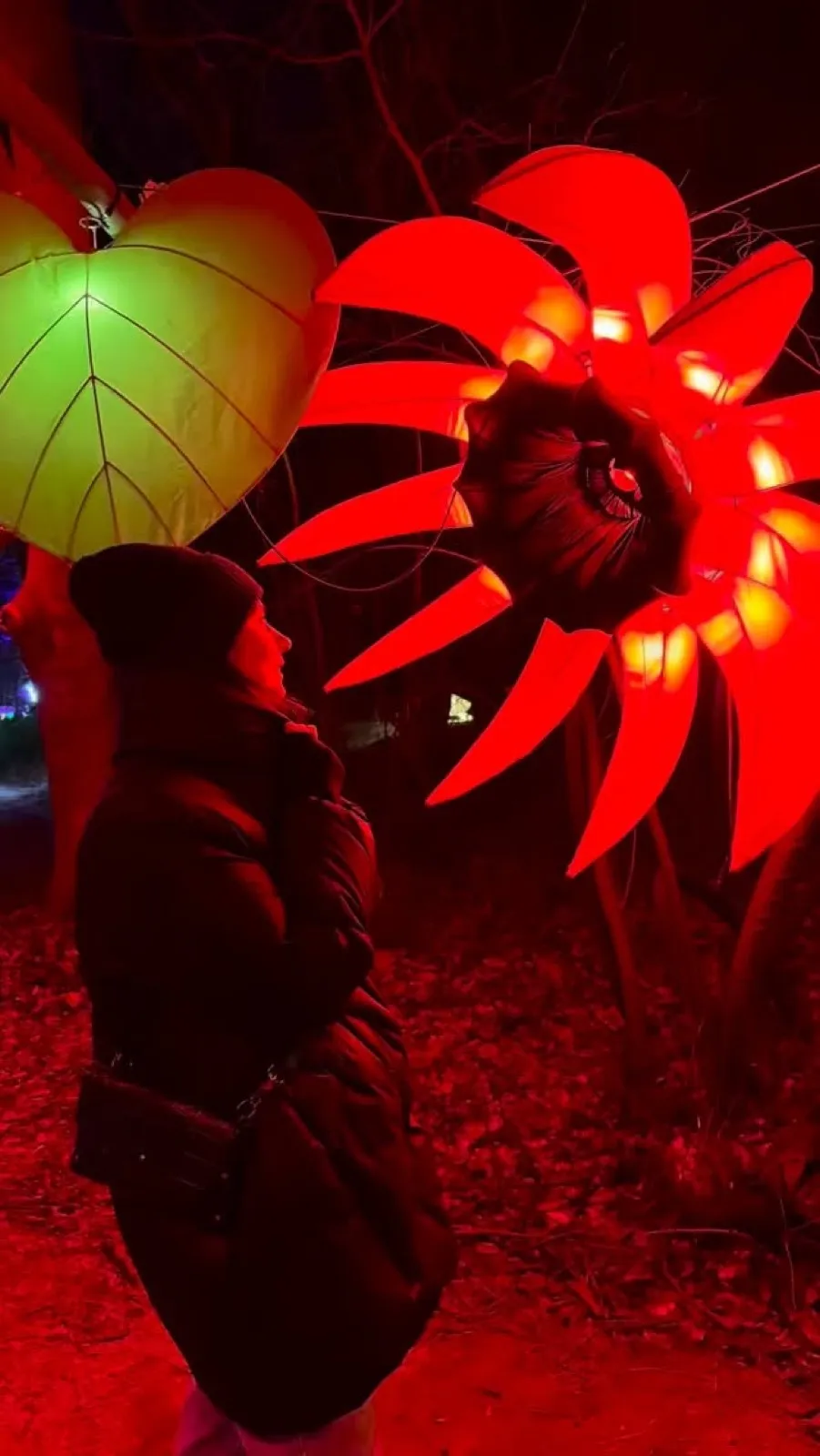 Lumina Park w Zamku Topacz