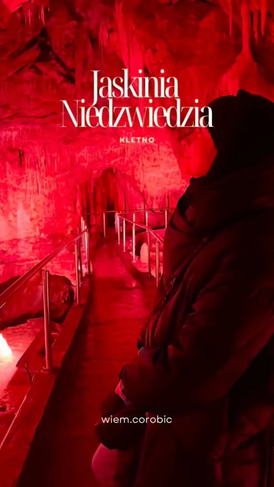 Jaskinia Niedźwiedzia — podróż 28 milionów lat wstecz