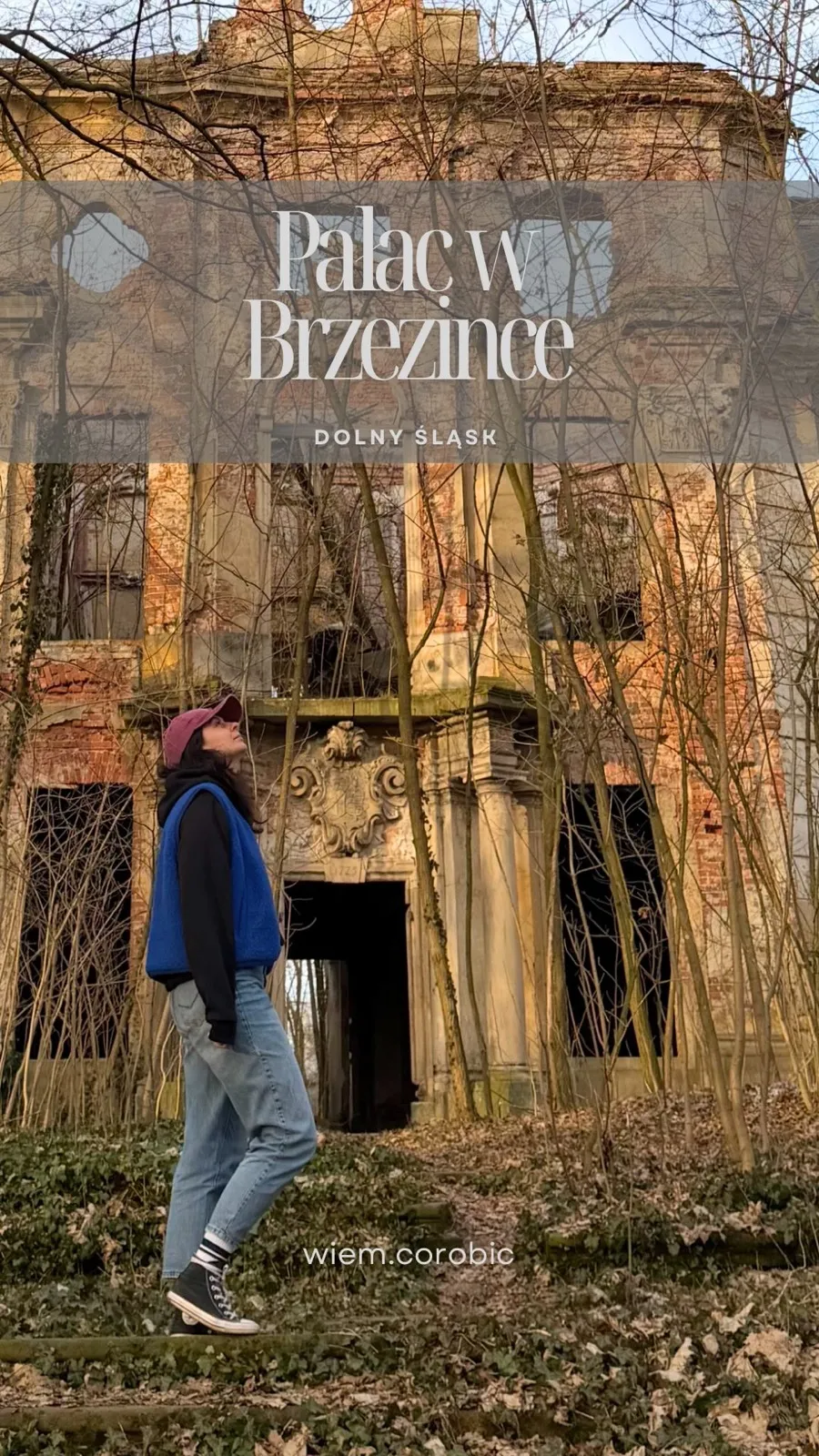 Pałac w Brzezince